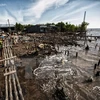 Provincia vietnamita pierde anualmente 450 hectáreas de tierra costera por erosión
