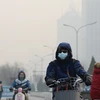 Indonesia asegura a sus vecinos de ASEAN que no habrá problemas de neblina 