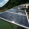 Vietnam implementa programa de ahorro energético