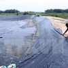 Vietnam planea elevar superficie de arenal destinado a cría de camarones