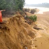 UE ayuda a Vietnam en lucha contra erosión costera 