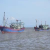 Premier vietnamita insta a fortalecer medidas contra la pesca ilegal en aguas extranjeras 