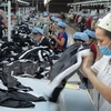  Vietnam con alta determinación de reforzar economía privada