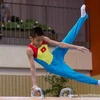 Vietnam gana cuatro oros en mundial juvenil de gimnasia 