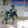 Vietnam creará sistema de respuesta a incidentes radioactivos y nucleares 