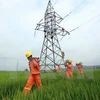 Producción eléctrica de Vietnam registra alto crecimiento