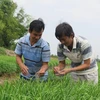  Banco Mundial despliega proyecto de asistencia a Vietnam en desarrollo rural