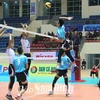 Inician en Ninh Binh campeonato asiático de clubes de voleibol