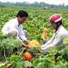 Hanoi moviliza fondos para construcción de nuevas zonas rurales
