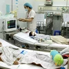  Vietnam reporta 62 casos de encefalitis japonesa