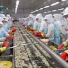 Provincia vietnamita de Tay Ninh logró atraer gran inversión a zonas industriales 