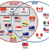 Realizan negociaciones en India sobre RCEP
