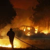 Decenas de indonesios hospitalizados por humo de incendio forestal