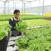 Desarrollan agricultura inteligente en Vietnam para afrontar cambio climático 