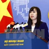 Vietnam pide a las partes respetar sus derechos legítimos en el Mar del Este