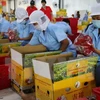 Vietnam prevé exportar frutas y verduras por tres mil millones de dólares en 2017 