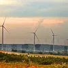 Impulsan uso de energía renovable en Vietnam para proteger medio ambiente