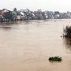 Japón ayuda a Vietnam en gestión de inundaciones 