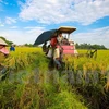 Economías del APEC debaten sobre biotecnología agrícola en la era digital