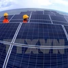 Vietnam con gran potencialidad para desarrollo de energía solar