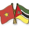 Ciudad Ho Chi Minh impulsa cooperación con Mozambique en sector judicial