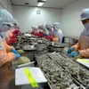 Ha Tinh exporta 18 toneladas de camarones congelados a Malasia 