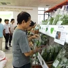 Ayudan a empresas vietnamitas en garantía de inocuidad alimentaria