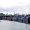 Provincia vietnamita se empreña en poner fin a pesca ilegal en aguas extranjeras