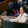 Vietnam exhorta a reformas de operaciones de paz de ONU 