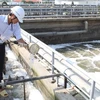 Japón financia proyecto de drenaje en provincia sureña de Vietnam 