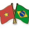 Vietnam felicita a Brasil por Día Nacional