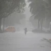 Filipinas: cuatro muertos y seis desaparecidos por tormenta Maring