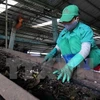 Empresas japonesas desean invertir en tratamiento ambiental en Vietnam