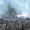 Indonesia impulsa en lucha contra incendios forestales