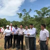 Instalarán en Vietnam estaciones calculadoras de energía solar para promover desarrollo de energías renovables