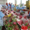 Vietnam envía primer lote de pitahaya a Australia