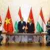 Impulsan cooperación Vietnam-Hungría en informática y comunicación 