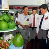 Productos agrícolas de Vietnam buscan conquistar el mercado de Sudcorea