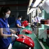 Vietnam promulga plan de perfeccionamiento de economía de mercado con orientación socialista