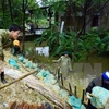  Continúan en Vietnam actividades de apoyo a víctimas de inundaciones