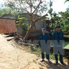  Provincia vietnamita de Hoa Binh declara situación de emergencia por catástrofes naturales 