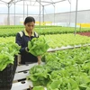  APEC 2017: Vietnam traza camino para desarrollo sostenible de agricultura de alta tecnología