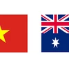 Diputado australiano destaca desarrollo de relaciones multifacéticas con Vietnam