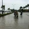 Vietnamitas en Argelia apoyan a las víctimas de inundaciones en tierra natal