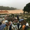 Vietnamitas en ultramar recaudan fondos para apoyar la superación de consecuencias de tifón Damrey