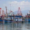 Provincia vietnamita de Tra Vinh respalda a pescadores en acceso a los seguros