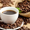 Vietnam busca ingresar fondo multimillonario en 2030 por exportaciones de café
