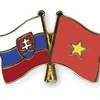 Impulsan cooperación económica Vietnam-Eslovaquia