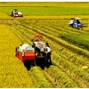 Provincias del Delta del Mekong de Vietnam e India amplían cooperación agrícola