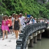 Vietnam por convertir turismo en sector económico clave